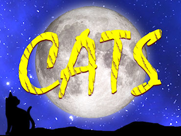 CATS Cast Results